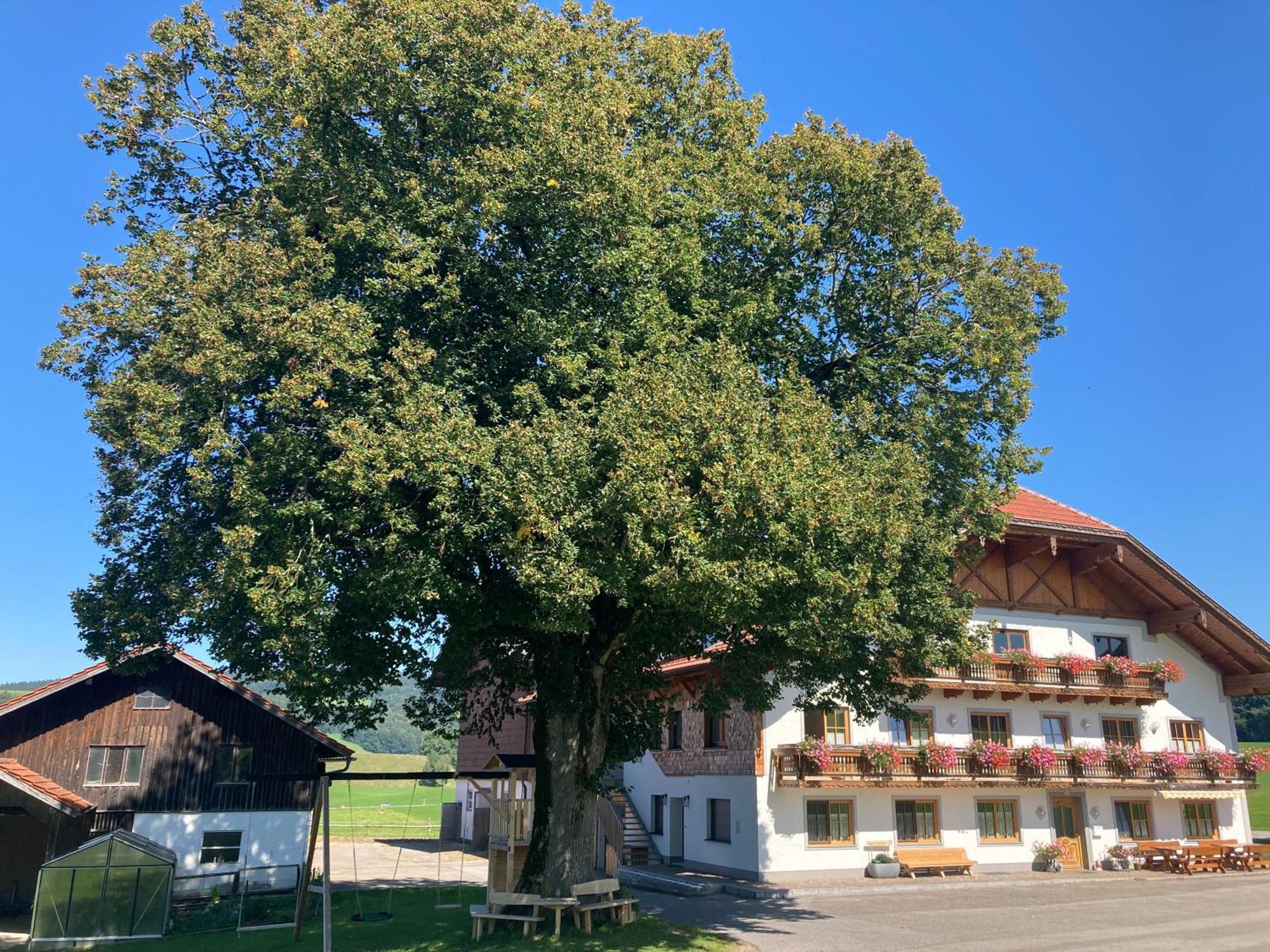 Ferienwohnung Biohof-Feichtinger Zell am Moos Exterior foto